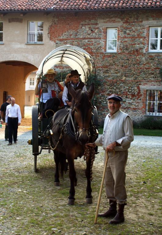 סאלוצו Agriturismo Camisassi מראה חיצוני תמונה